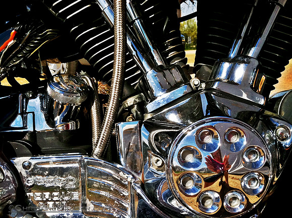 Harley Davidson Closeup