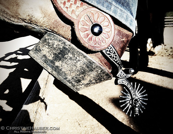 IMG0294-1-M