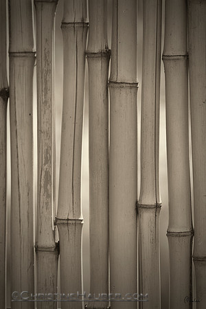 Bamboo I