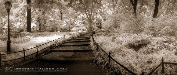 Central Park Path