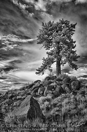 MG0275HDR-M