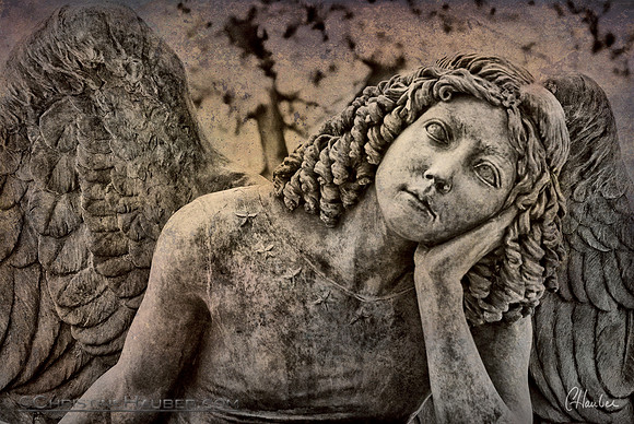 Quiet Contemplation