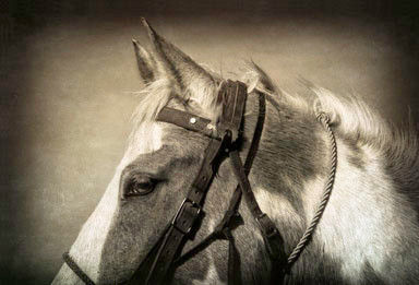 MG_7611Heedful