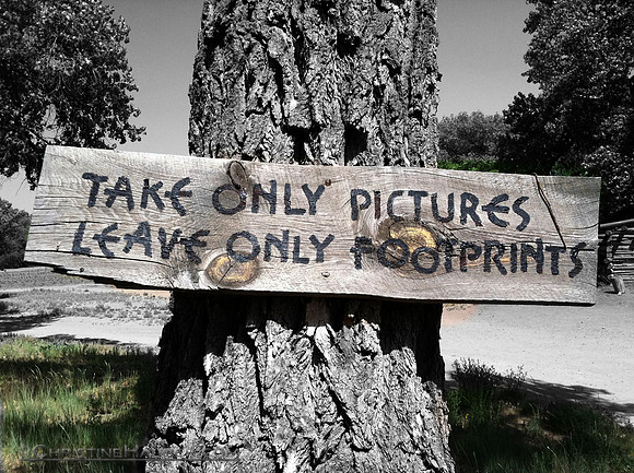 Pictures and Footprints