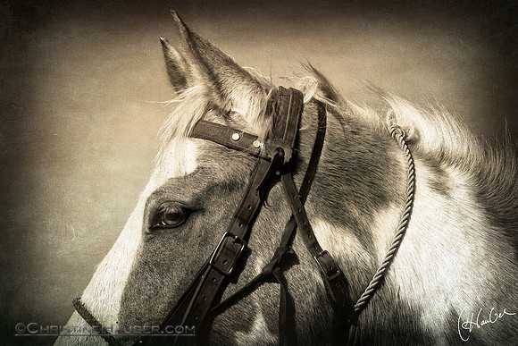 Heedful