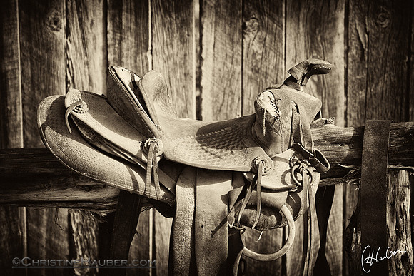 Old Saddle