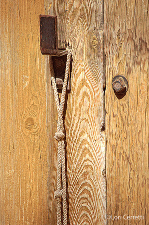 Wood Knot