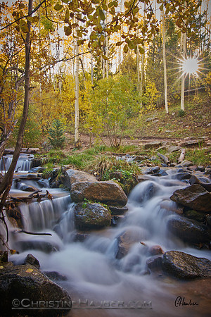 Sunrise River and Aspens