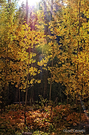 After Processing