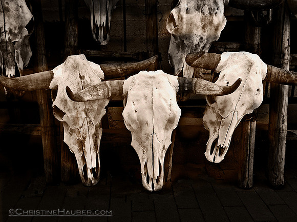 Skulls